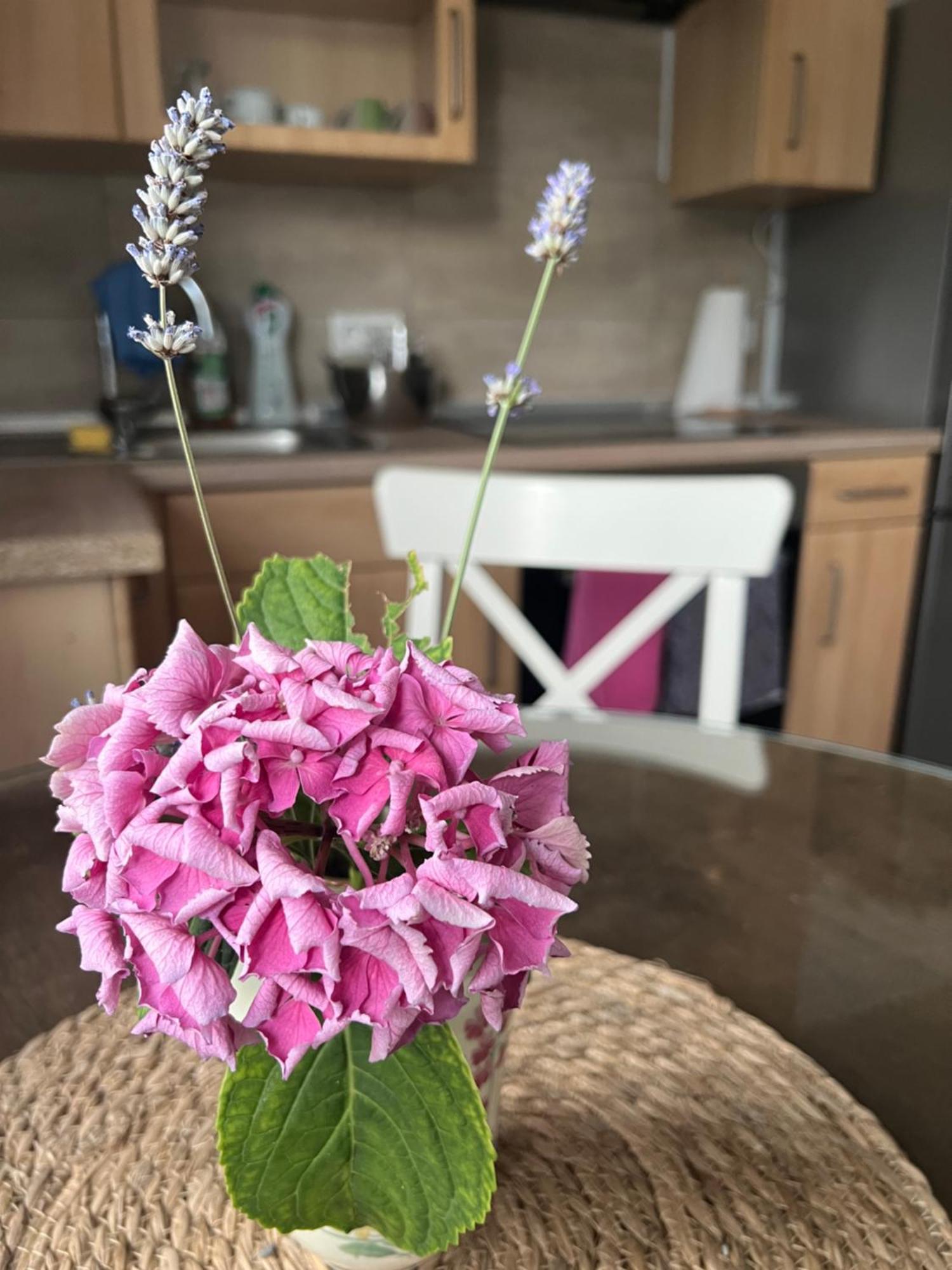 Auszeit Im Pott - Ferienwohnung Lavendel Herten  Exterior foto
